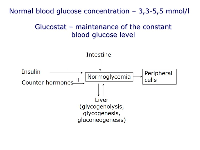 Normal blood glucose concentration – 3,3-5,5 mmol/l Normoglycemia Peripheral cells Intestine Liver (glycogenolysis, glycogenesis,